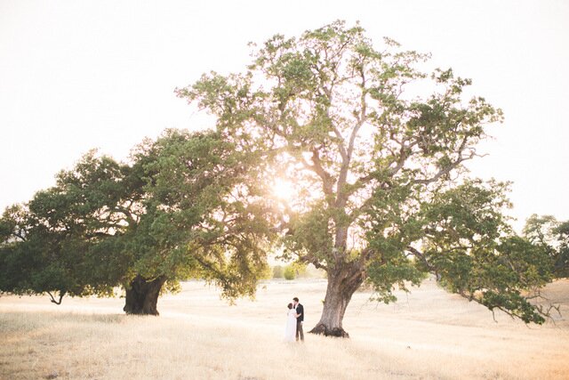 Moonrise Kingdom Inspired Relaxed Wedding in Central Coast, California | Orange Owl Photography on Oh Lovely Day